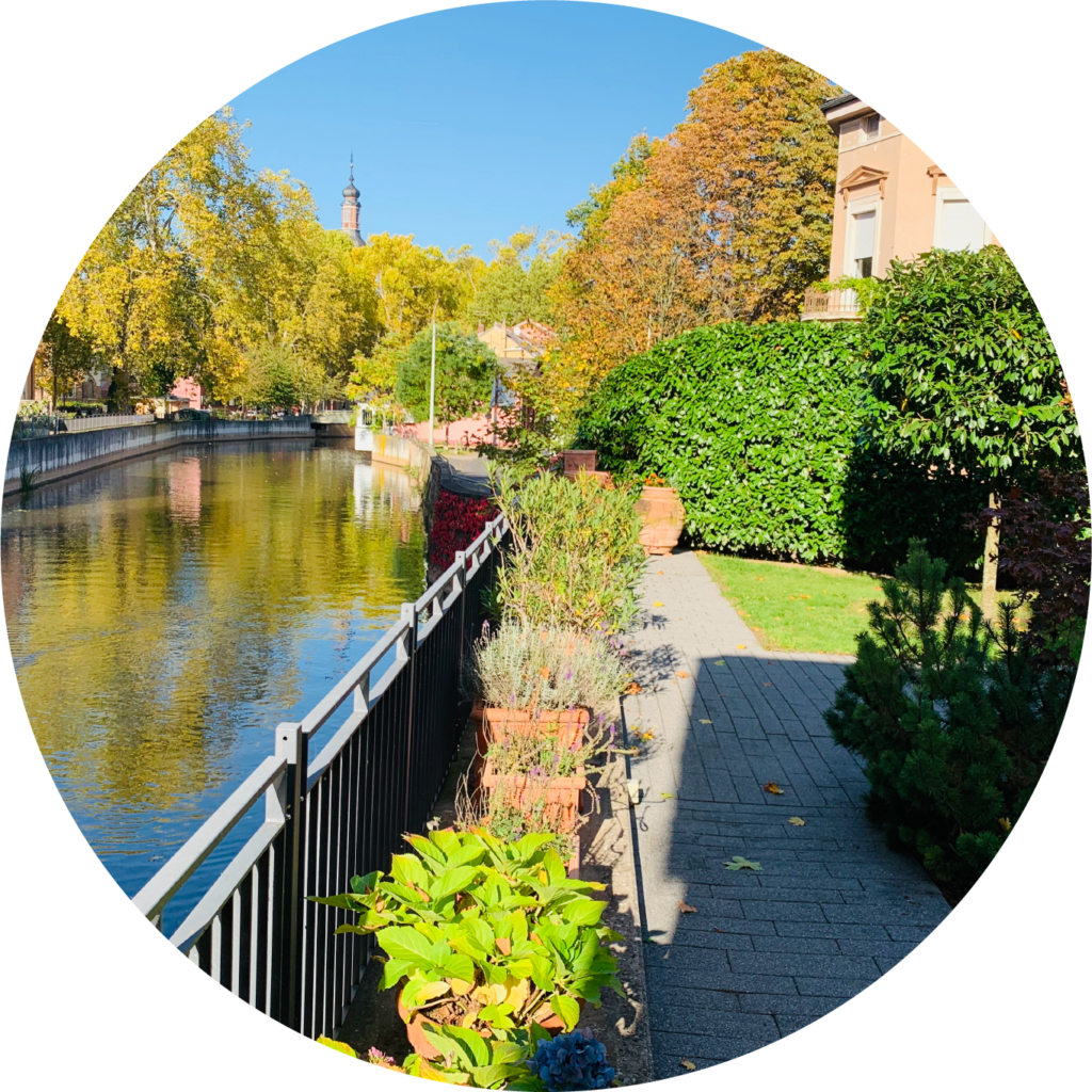 Deine Karriere bei der Steuerberatung Carstensen Consult | Ingelheim am Rhein | Bad Kreuznach | Freiheiten genießen ✔ Mehr bewegen ✔ | Jetzt mehr erfahren!