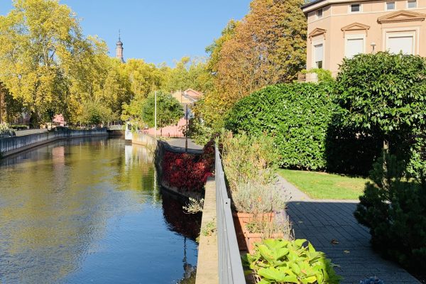 Deine Karriere bei der Steuerberatung Carstensen Consult | Ingelheim am Rhein | Bad Kreuznach | Freiheiten genießen ✔ Mehr bewegen ✔ | Jetzt mehr erfahren!